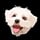 Bamba