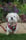 Albert