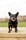 Prue