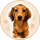 Mylo