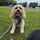 Arlo