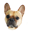 Lola