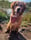 Mollie