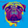 pug_hugo_otto
