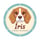 irisabeagle