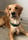 itsmarlothegolden
