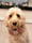 murphys_freezbonemoments