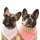 daphneandvinnie