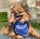 bram_pom