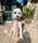 _thesullyman_
