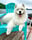 zukothesamoyed