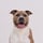 walttheamstaff