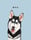 Mistermaxthehusky