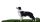 amazing.doggos