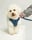 Beauthebichon17