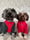 Truffles__myrtle_thecockapoos