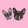 littlefrenchiesisters
