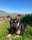 frenchieb_murph