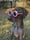 sklyergsp