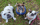 OzBulldogSquad