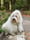 sanne_1411