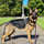 Ozzythegsd2020