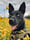 Copilot_Tilly
