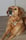 hulphond.joris