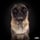 notorious_ted