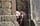 labradors_oscarandbailey