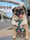 rumithewhirlingpuggle