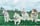 huskyfamilyxx