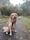 Rorysgoldenlife_