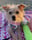 gillette_the_puppy