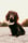 soul.pawtners