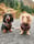 Thelakes.daxieduo