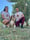 bali_the_beagledog
