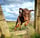 Sybilthedobe