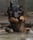 Morax.gsd