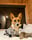 Finley.the.corg