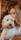 Winston_bear_hill