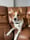 Nasathecollie