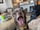 The_Kardoggians