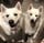 lexandmacy