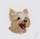 ricosauvetheyorkie
