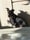 manchesterterrier_pongo