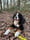 Wolf_deberner