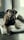 team_adoptedpaws
