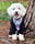 bentley.poochon