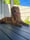 maddy_head13